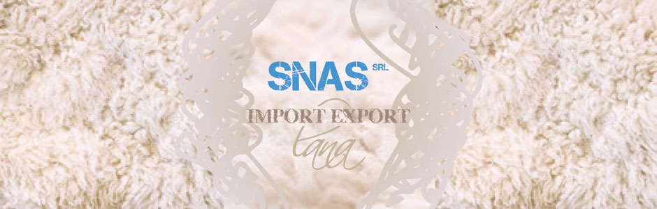 Snas Srl